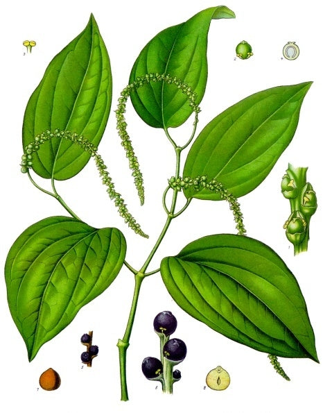 BioPerine®